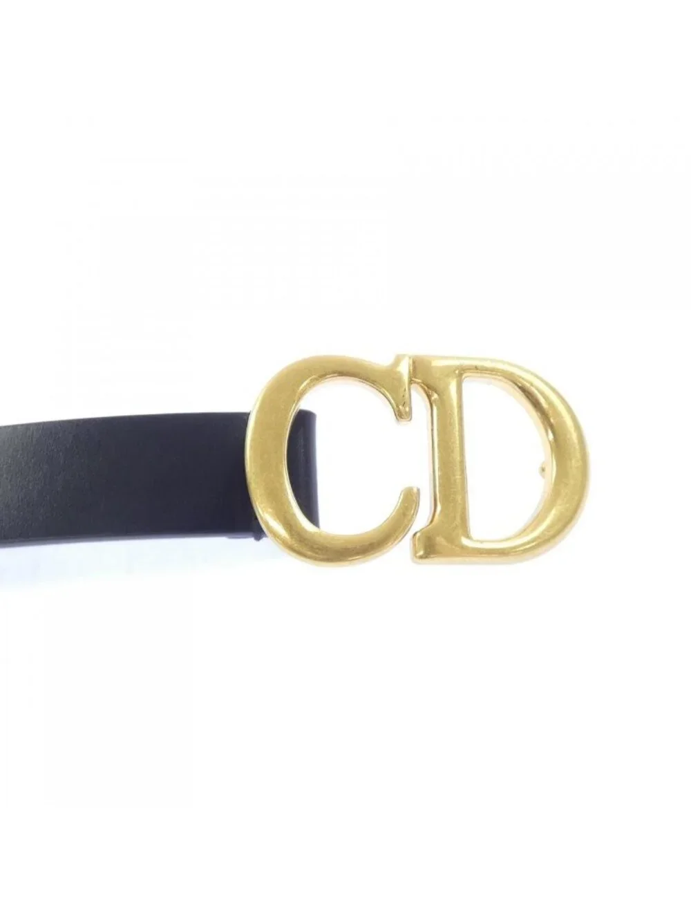 Dior Saddle 20 Belt